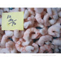 Frozen IQF red shrimp